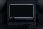 Elite Aeon CineGrey 3D® Series Ambient Light Rejecting Projector Screen 5