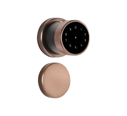 Ozone Smart Door Lock | OZ-FDL-11-R Life | Alexa & Google Assistant Enabled
