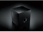Active Subwoofer 100W 8 Inchs 
