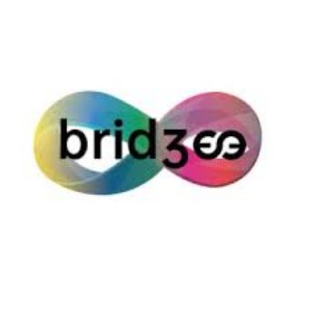 Picture for manufacturer Bridgee