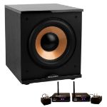 BIC America Acoustech H-100II Subwoofer 