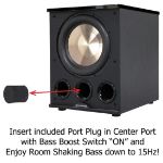 BIC America Acoustech PL-300 II Subwoofer