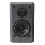 BIC America Venturi DV62si Bookshelf Speakers