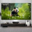 Formoive FSCREEN Aura Series Fresnel ALR Fixed Frame Projection Screen