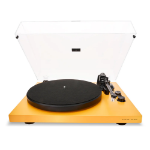Home audio turntable